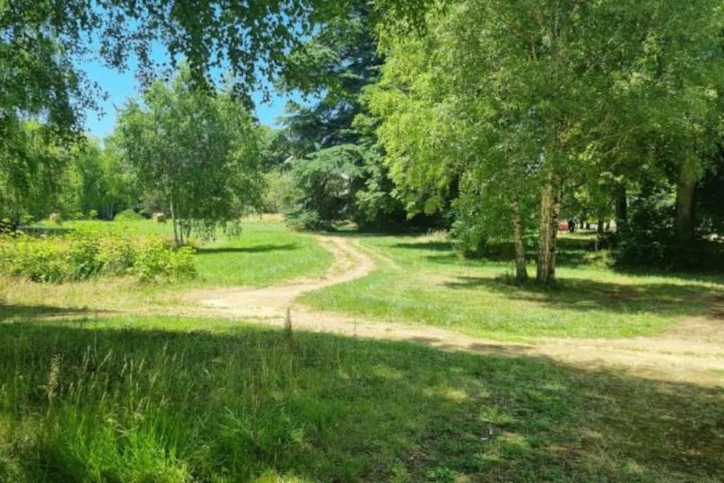 Pavillon Des Ecureuils Au Chateau Royal De Benays Benais Kültér fotó