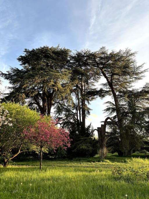 Pavillon Des Ecureuils Au Chateau Royal De Benays Benais Kültér fotó